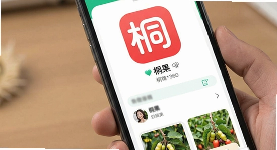 670*360 ͩ��app������չʾͼ