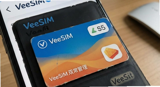 VeeSIM˫��������������