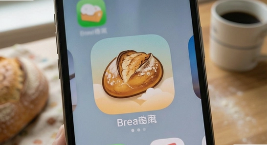 ���Ӧ�����غ�Ӧ�û�������