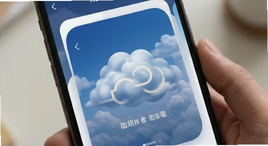 ���ƺ���Ӧ��������չʾ