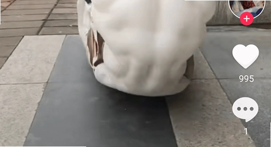 �ƹ��̾�2026���°氲׿���� ʹ�ý��� �̾粥��,ɫ�ʷḻ ��ˮӡ ����ͼ